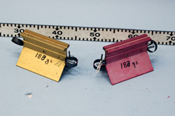 ElasticShortGliders-04-250.jpg