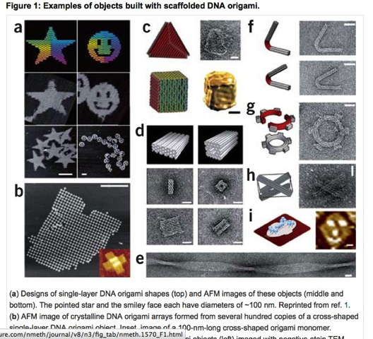 DNA-Origami1