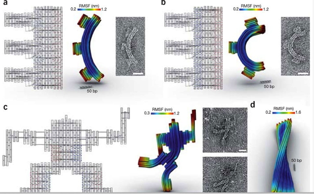 DNA-Origami3